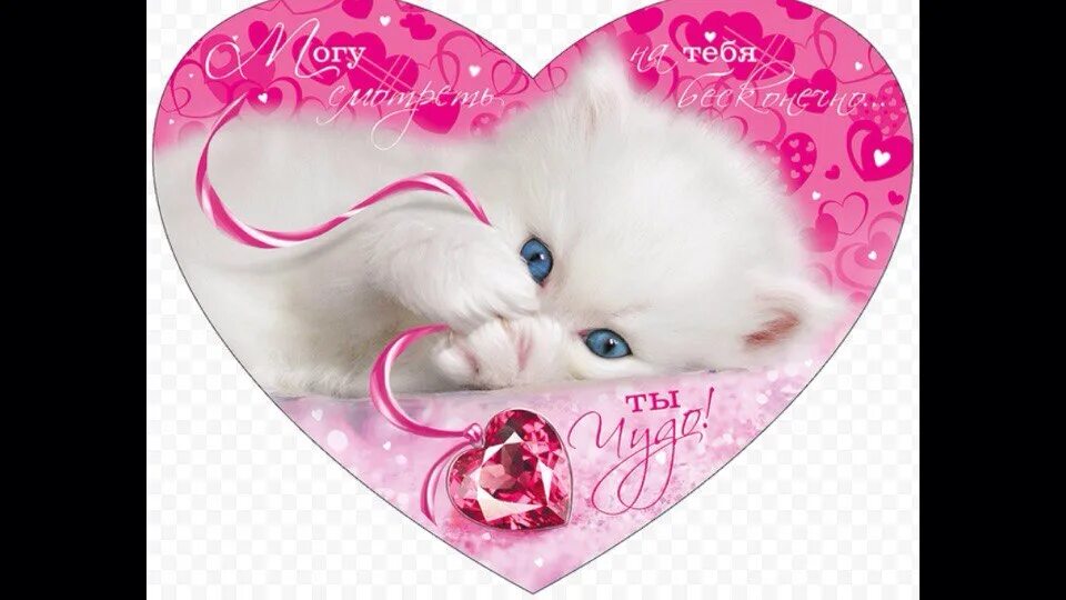 ВАЛЕНТИКК С котом. Красивые валентинки. Очень красивая валентинка. Открытка сердечко. Кис сама сама