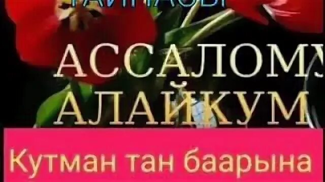 Кутман тан. Открытки кутман тан. суроттор кутман тан. кутман тан фото. кутман тан картинки красивые необычные.
