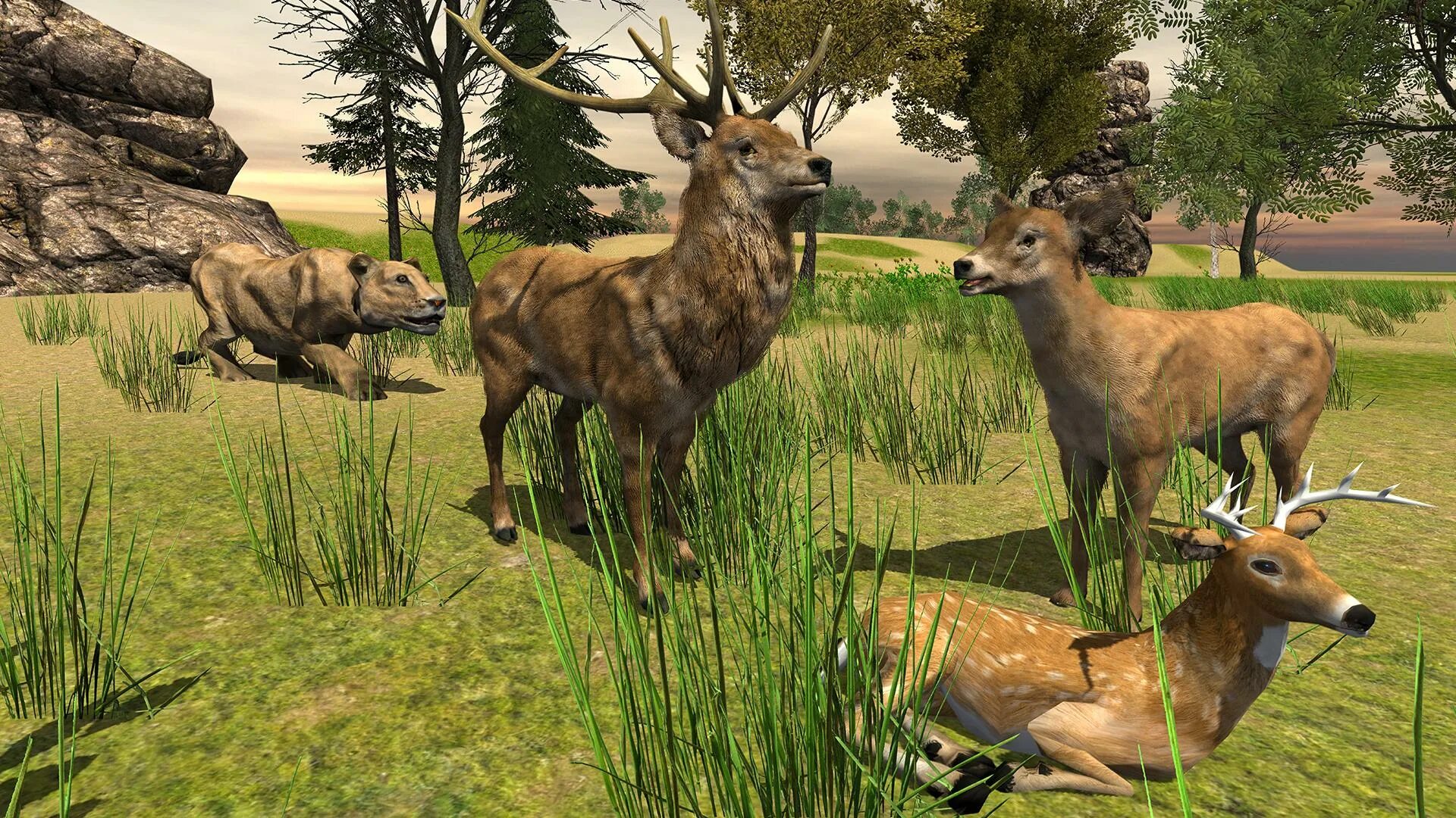 Игра про диких. Deer hunter игра. Wild game приложение. Игра про диких. Игры про животных на пк.