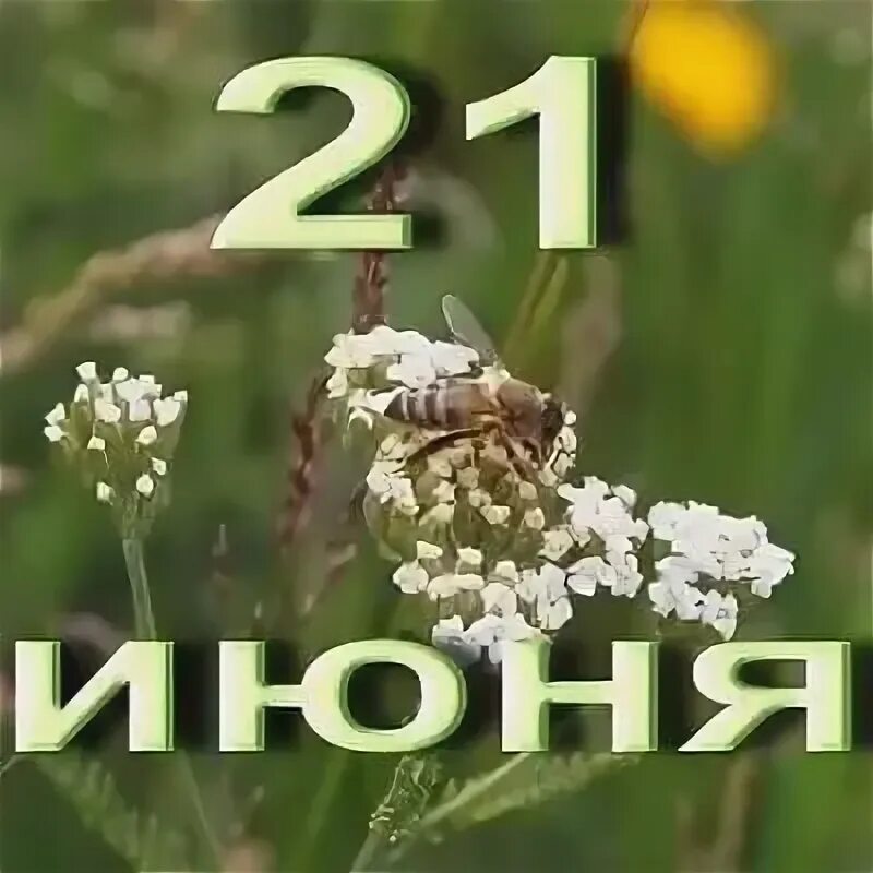 21 Июня. 21 Июня картинки. Июнь надпись. 21 Июня календарь.