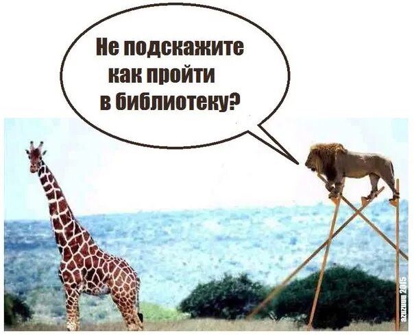 Не стесняемся присоединяемся. Не стесняемся присоединяемся