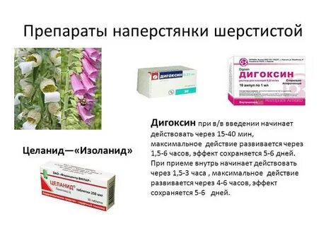 Гликозид инструкция по применению