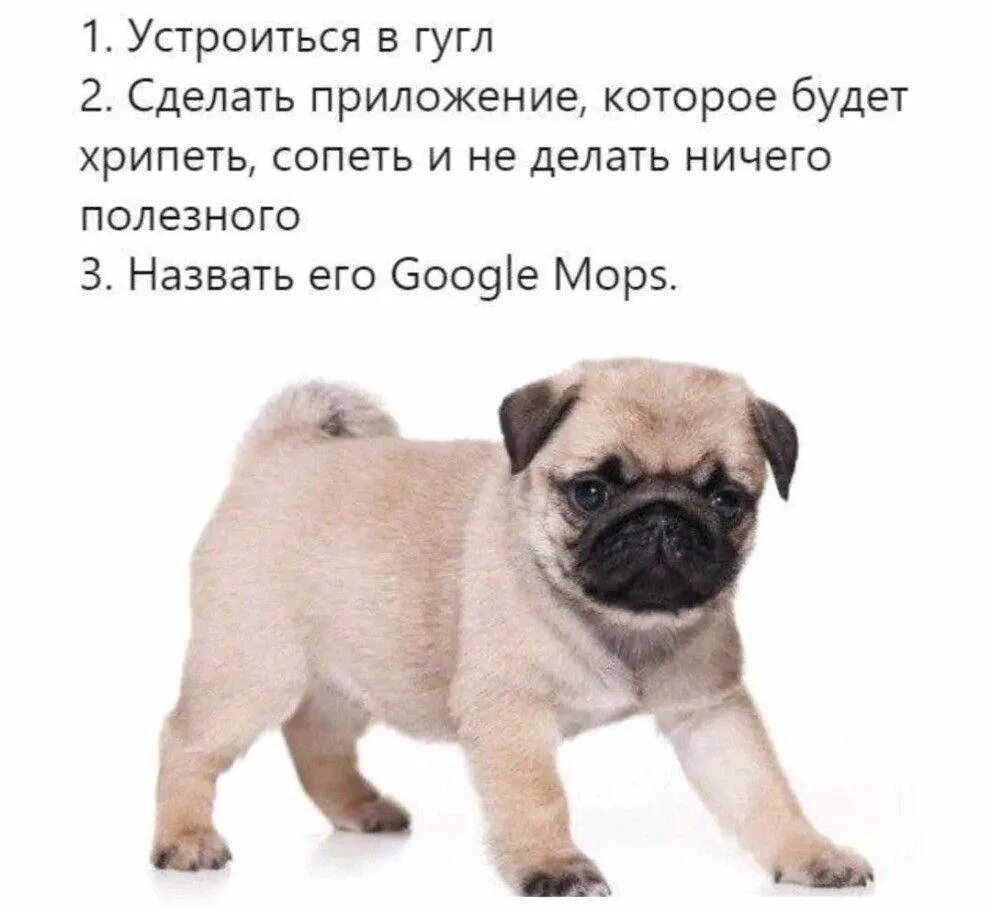Что значит сопеть