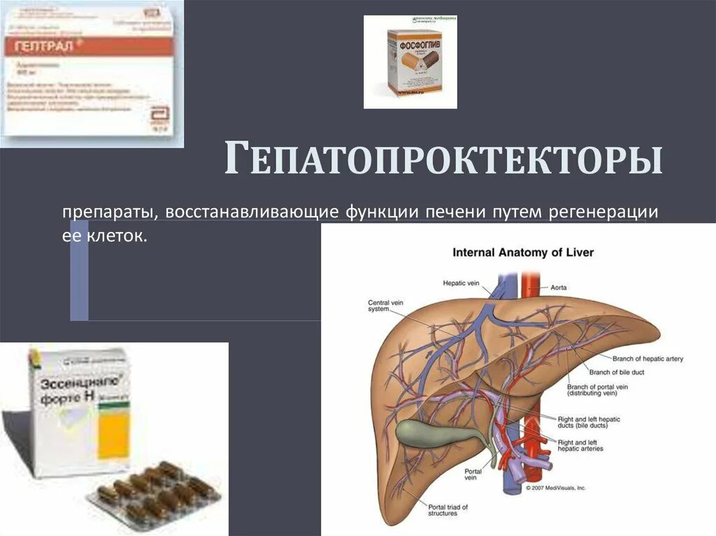 За какое время восстанавливается печень. Лекарства восстанавливающие печень. Таблетки для восстановления функции печени. Таблетки для печени восстанавливающие. Функции печени.