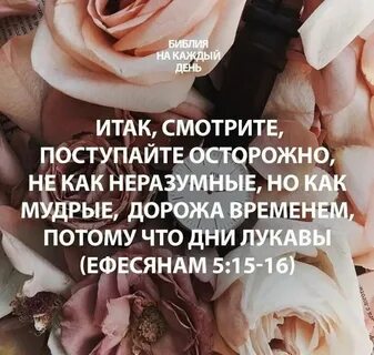 Библия стих 20 глава 20