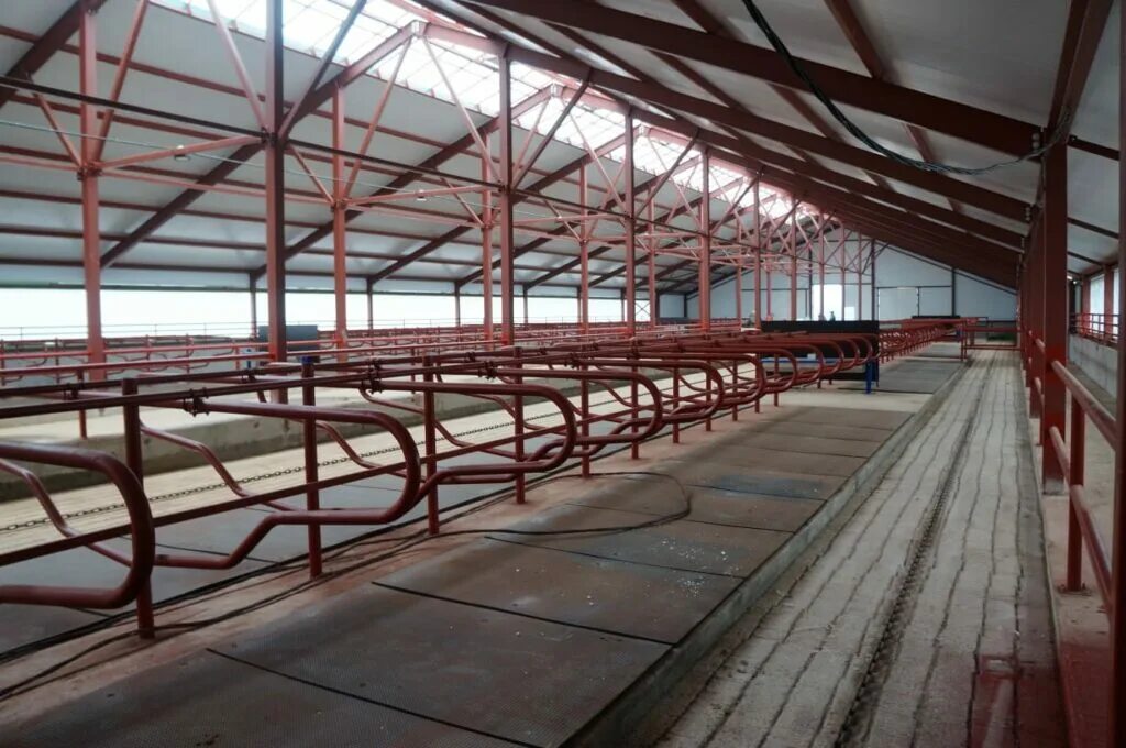 молочная ферма эконива. сити ферма сколково. молочная ферма жупиков. сити ферма greenbar. открытие фермы.