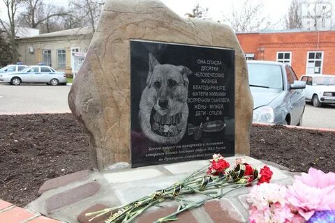 Гибель пса балбеса