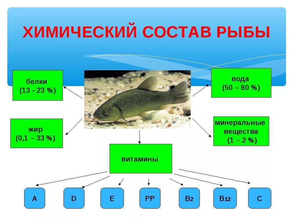 Рыба состав белки. Состав питательных веществ в рыбе. Химический состав рыбы. Ximicheskiy sostav Ribi. Химический состав мяса рыбы.