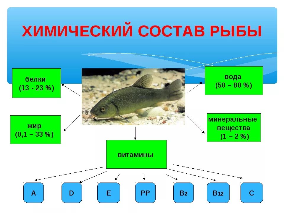 Сколько мяса в рыбе. Состав питательных веществ в рыбе. Химический состав рыбы. Химический состав мяса рыбы. Минеральный состав рыбы.