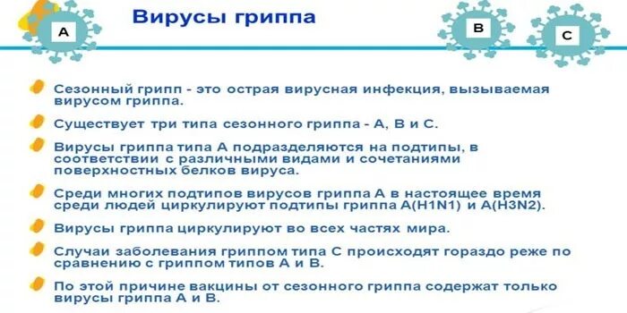 Воспользуйтесь текстом сезонный грипп. Сезонность гриппа. сезонность вируса гриппа. грипп сезонность месяцы. клиника сезонного гриппа.