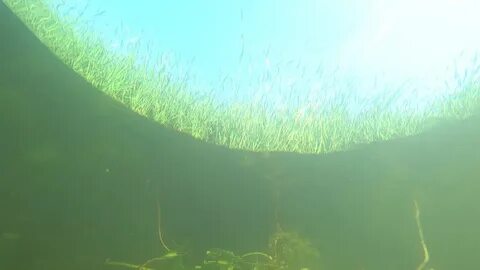 Подмосковье под водой