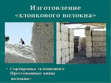 Длина хлопкового волокна
