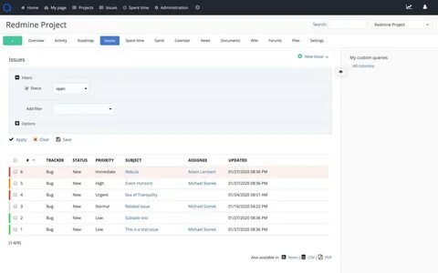 Redmine projects