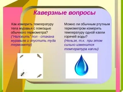 Может ли обычный