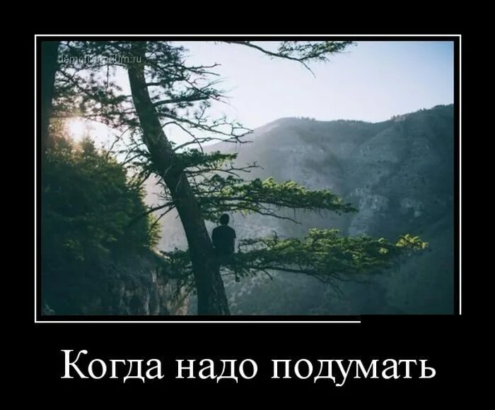 Дай мне время подумать. Надо подумать демотиватор. надо подумать картинки. надо подумать картинки прикольные. подумаю прикол.