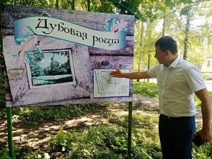 Объявление дубовое