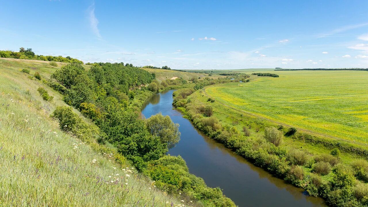 Погода курская область село олым. Верхотопье курская область. Погода курская область село олым. Олым село. Река вшивка курская.