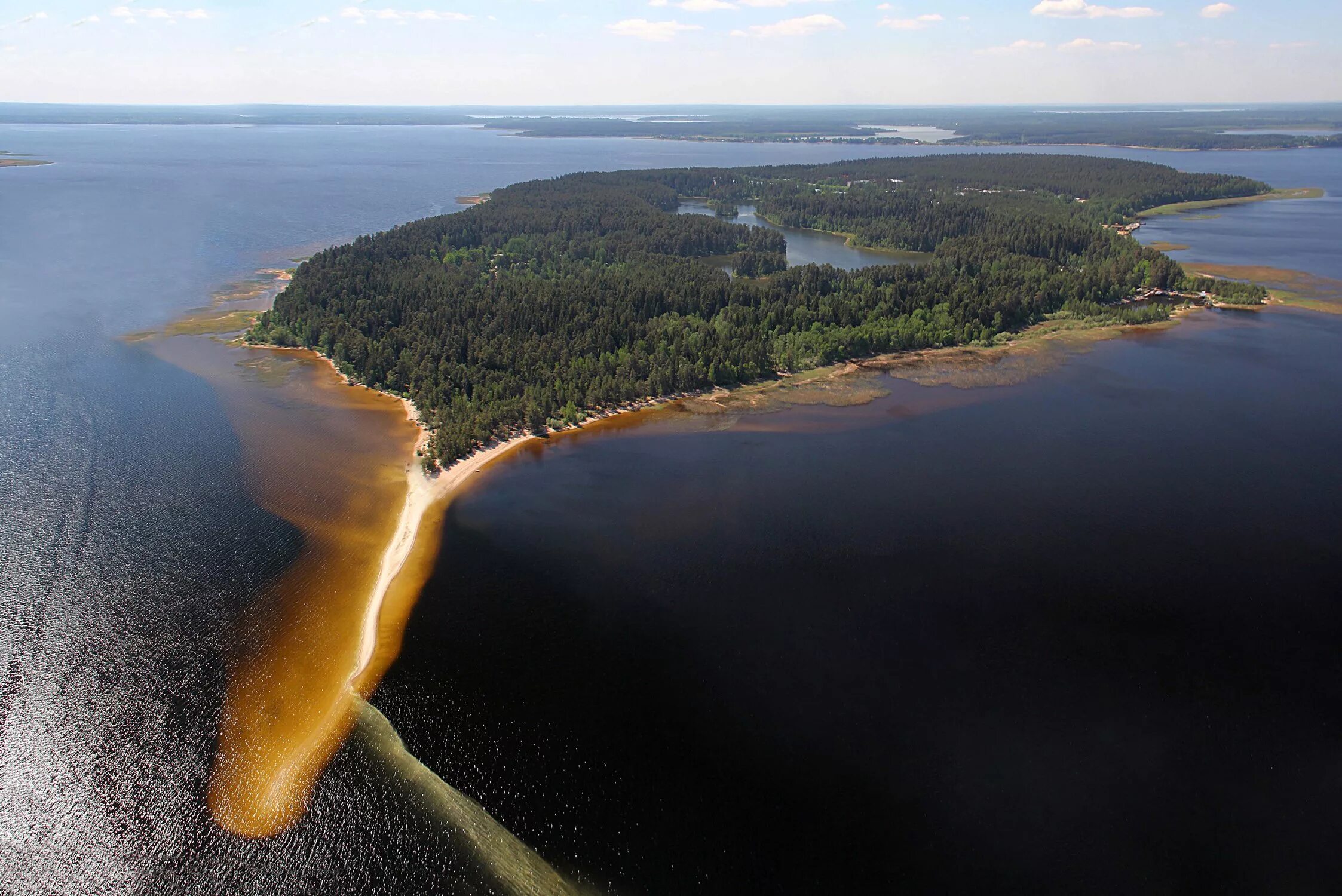 Озеро Селигер Городомля. Селигер Городомля коса. Озеро Селигер остров Городомля. Городомля остров на озере Селигер Тверская область.