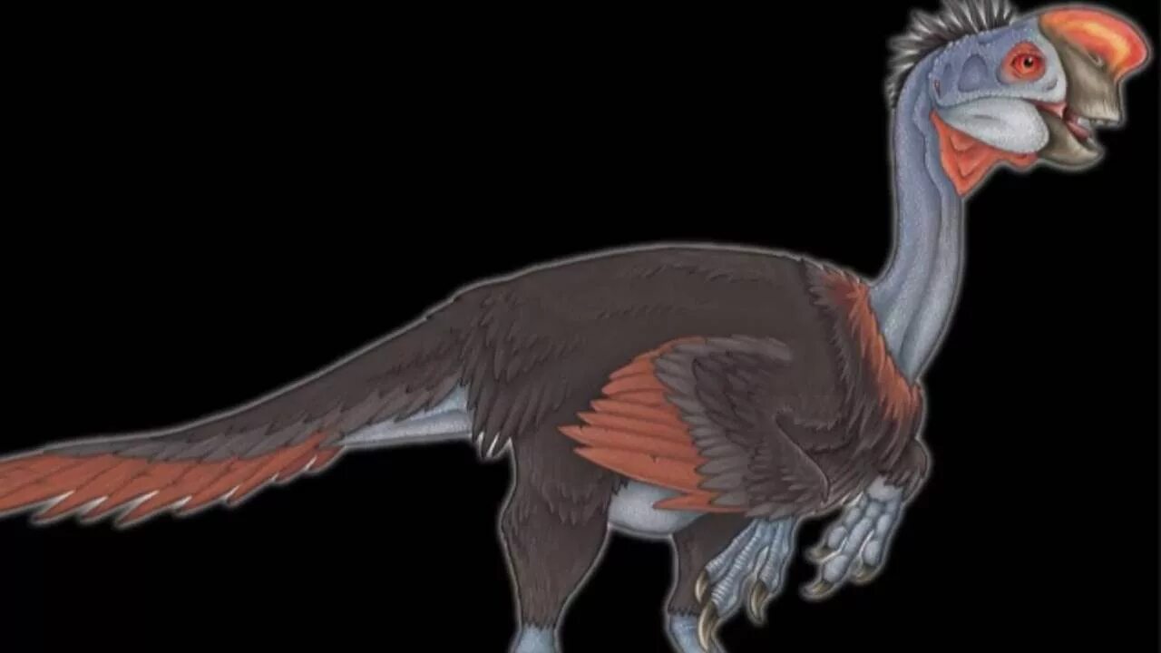 Овираптор арк. Овираптор. Овираптор динозавр. Теризинозавр с перьями. Теризинозавр черепаха.