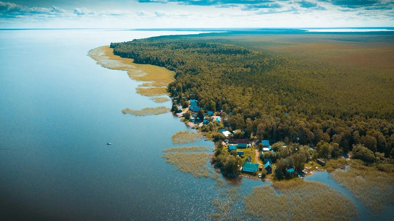 Озеро Воже Вологодская область. Остров Спасский озеро Воже. Вожега озеро. Озеро Воже район.