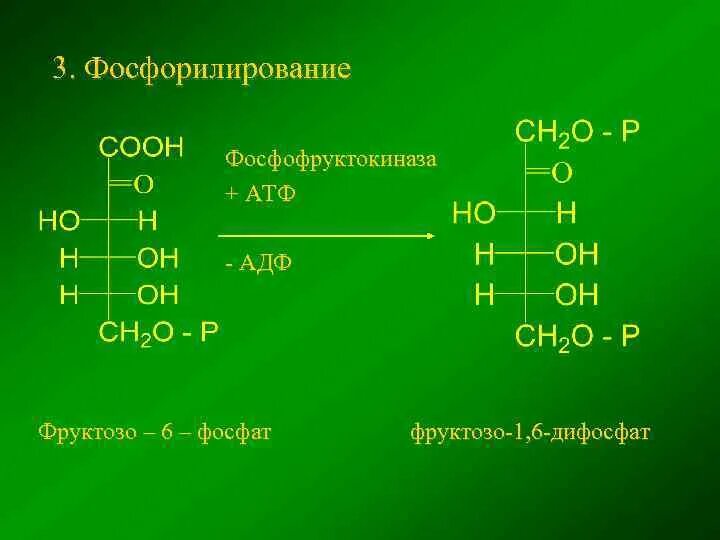 Атф фосфор. Фруктозо 6 фосфат АТФ фруктозо 1 6 дифосфат АДФ. Фосфорилирование фруктозо-6-фосфата. Фруктоза 6 фосфат формула. Фруктозо 6 фосфат формула структурная.