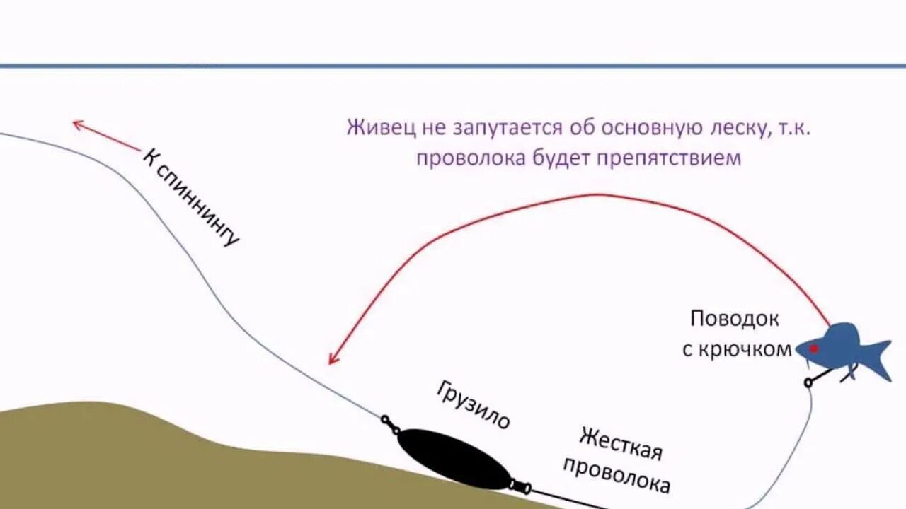 Снасти на ловлю щуки. Монтаж донной снасти на щуку. Оснастка для ловли на живца на донку. Ловля на живца с берега на донку монтаж. Ловля щуки на живца на донку.