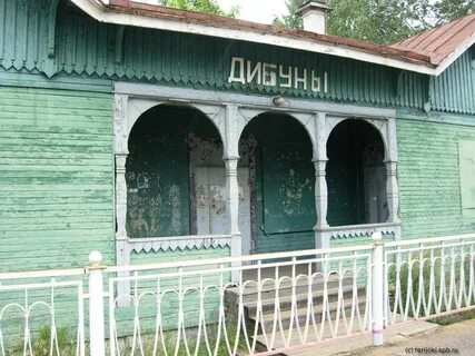 Дибуны