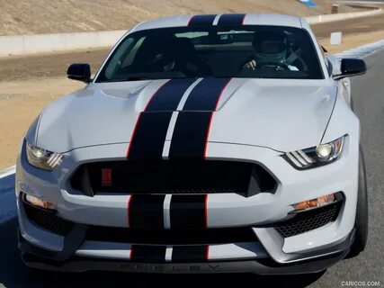 Ford mustang shelby gt350