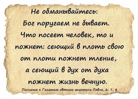 Главное в этой жизни духом текст