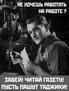 Солнце светит пашут