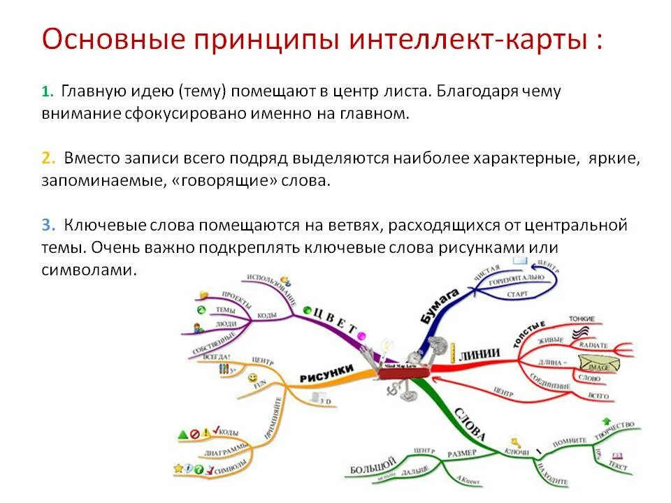 Используя ключевые слова параграфа. Интеллект карта правила составления. Правила построения интеллект карты. Интеллектуальная карта пример. Прием составления интеллект карты предполагает.