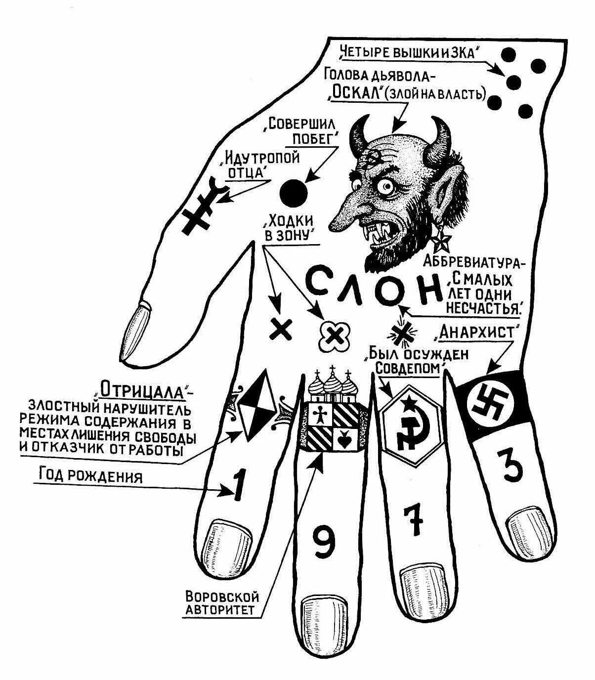 Точки на пальцах что значат. Татуировки зоновские понятия. Обозначение воровских татуировок.