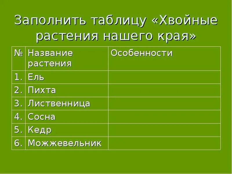 Хвойные растения таблица. Многообразие хвойных растений таблица. Разнообразие хвойных таблица. Таблица по биологии хвойные растения. Класс хвойные таблица