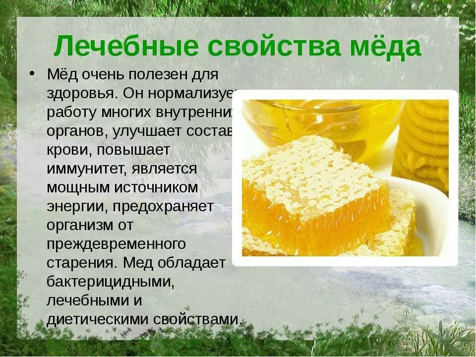 Его целебные свойства. Лекарственные растения и их свойства. Свойство крапивы целебное свойство. Лечебные растения и их свойства. Его целебные свойства.