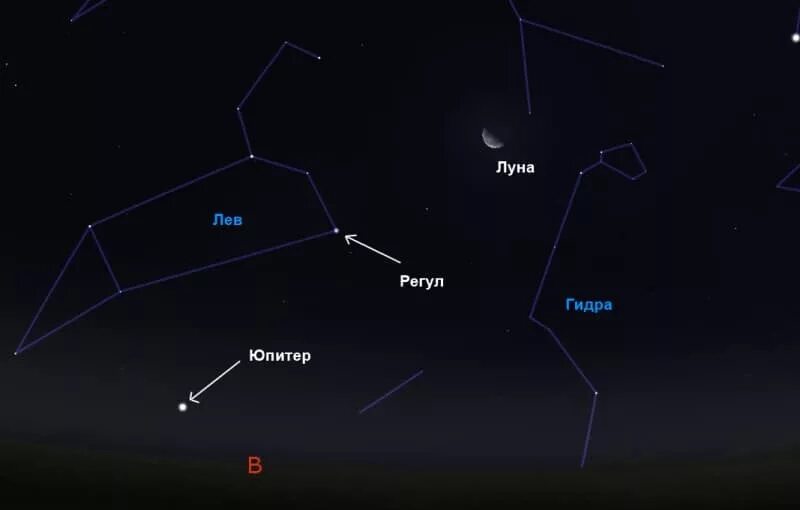 Регул какая звезда. Созвездие Льва регул. Звезда регул в созвездии Льва. Регулус звезда в созвездии. Альфа созвездия Льва.