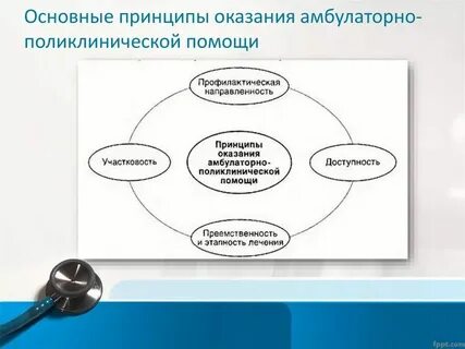 Общие принципы организации это
