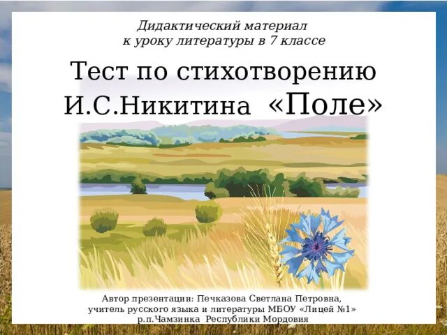 Стих Никитина поле. Стих поле Никитин. Стихотворение Никитино поле. Никитин стихотворение в синем небе