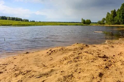 Пляж у речки золотым дном 6 букв