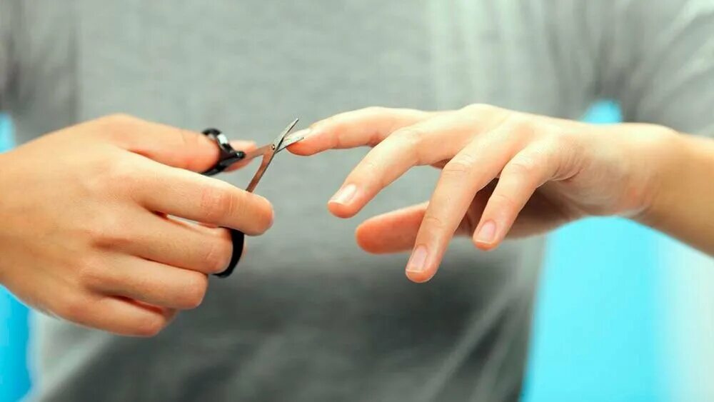 Ногтями можно резать. Подстриженные ногти. Стричь ногти. Ножницы стричь ногти. Коротко подстриженные ногти.