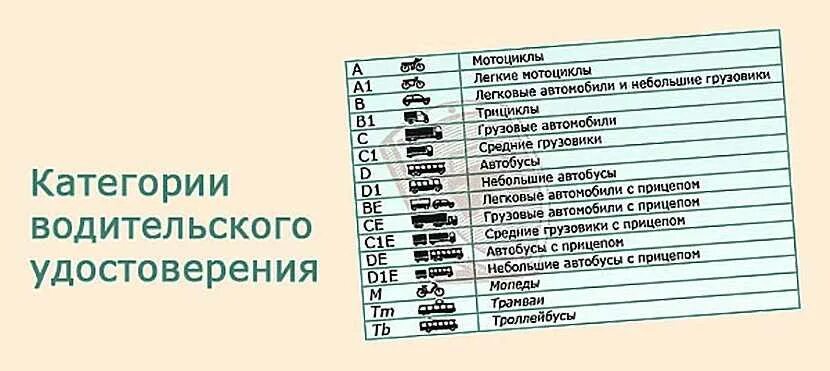 Что обозначает категория б 1