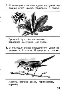 Как с помощью атласа определителя узнать
