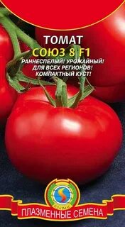 Союз 8