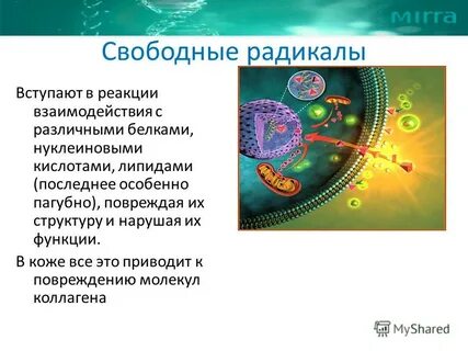 Защита от свободных радикалов