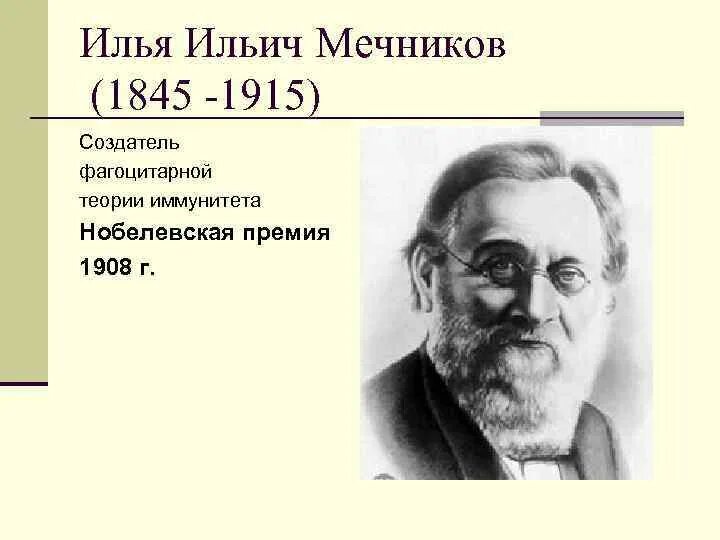 Мечников м. Илья ильич мечников (1845-1916). мечников илья ильич вклад. ученый илья ильич мечников. и и мечников 1908 нобелевская.