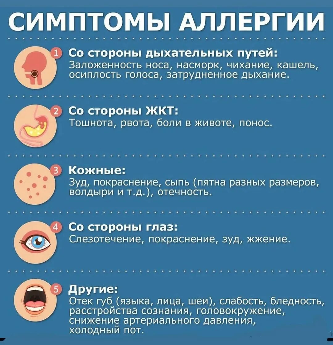 Аллергия на все как называется