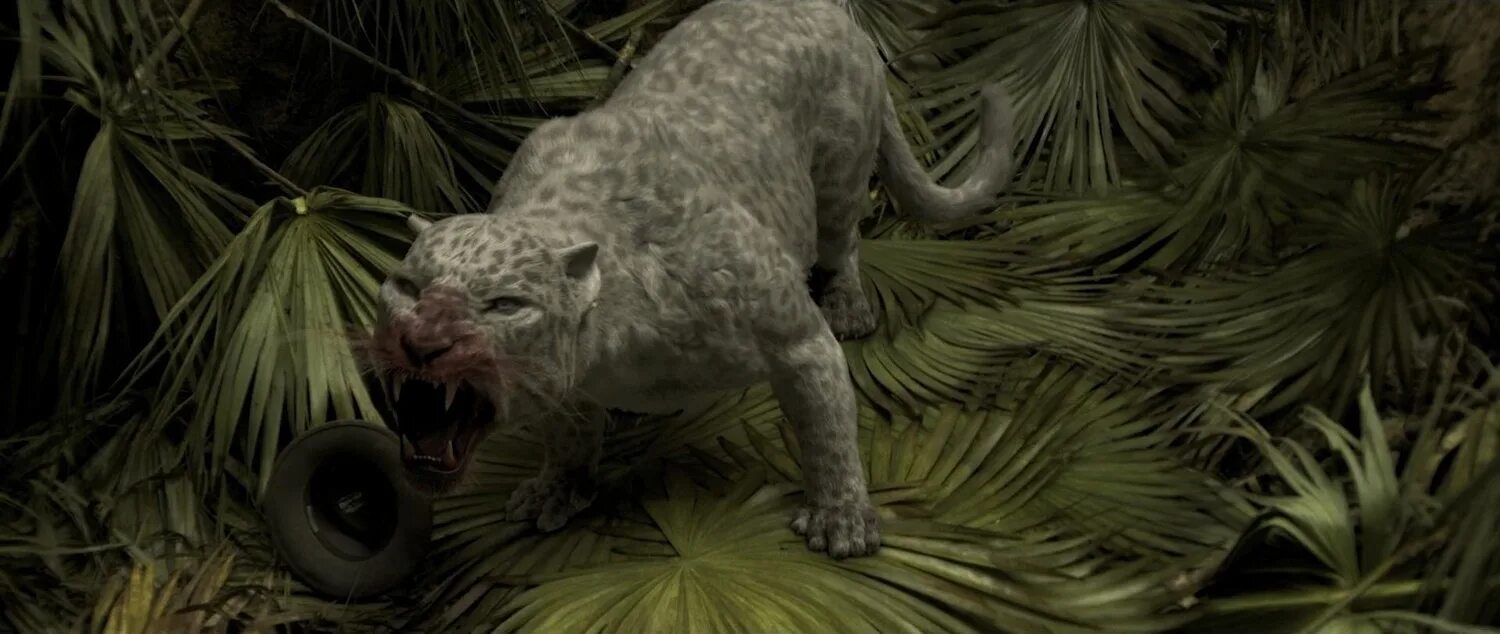 звериная ярость хорошие качества. лев рычит. звериная ярость хорошие качества. николас кейдж звериная ярость. амурский тигр оскал.