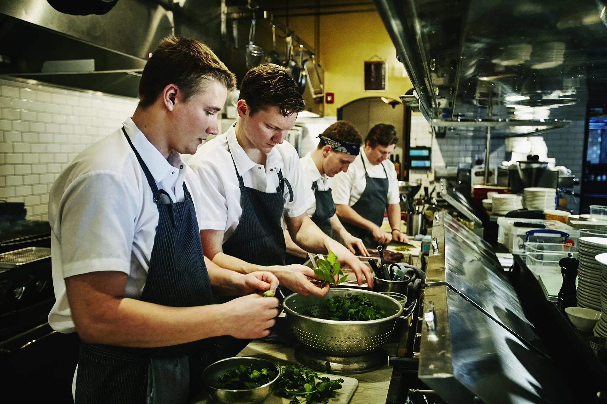 Профессиональные кадры. Много работы на кухне ресторана. Staff кухня. Restaurant service staff. Restaurant workers.