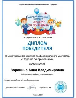 Номинации педагогических проектов