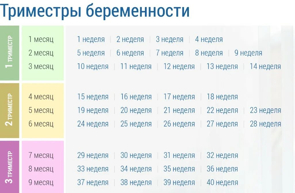 Как проходят триместры