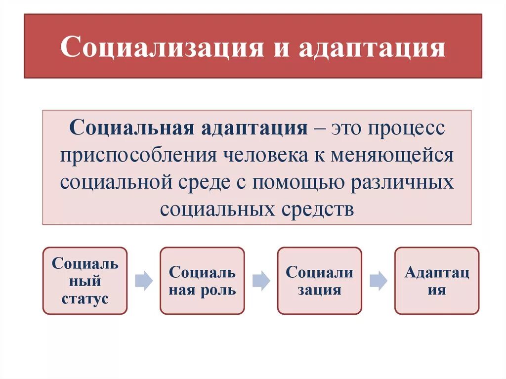 Природа социализации. Социализация и социальная адаптация. Понятие социальной адаптации. Социальная адаптация схема. Структура социальной адаптации.